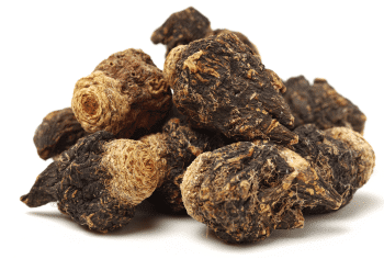 Maca nera