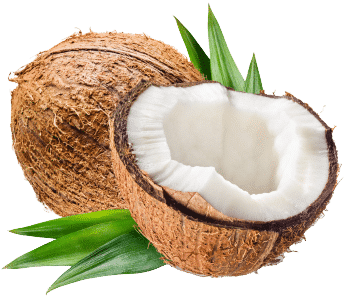 olio di cocco extra vergine