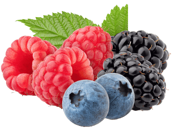 Sapore di frutti di bosco